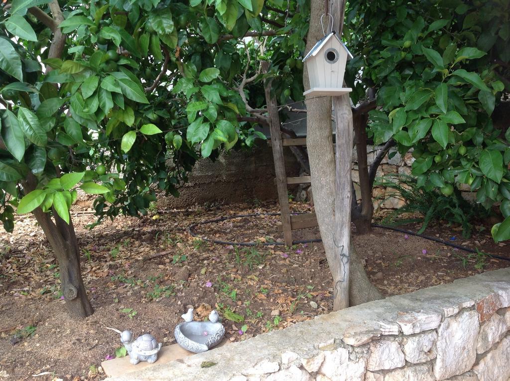 סטארי גראד Apartmani Roic מראה חיצוני תמונה